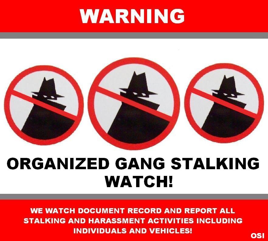 Understanding Gang Stalking: The Role of Community Surveillance and Its Implications